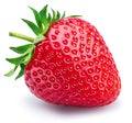 One strawberry isolated on a white background Royalty Free Stock Photo