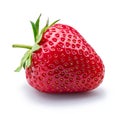 One strawberry isolated on a white background Royalty Free Stock Photo