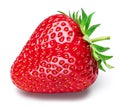 One strawberry isolated on a white background Royalty Free Stock Photo