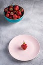One strawberry in pink plate near to fresh ripe strawberries fruits in blue bowl, summer vitamin berries Royalty Free Stock Photo