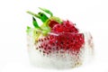 One strawberry ripe in the ice. Royalty Free Stock Photo