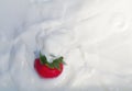 One strawberry splashing into creamy yogurt Royalty Free Stock Photo