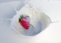 One strawberry splashing into creamy yogurt Royalty Free Stock Photo