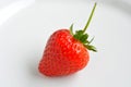 One Strawberry Royalty Free Stock Photo