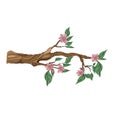 One stylized tree branch with leaves and flowers.