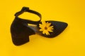 One suede black court shoe with yellow Topinambur flower bud inside toe, yellow background