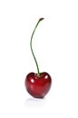 One sweet cherry Royalty Free Stock Photo