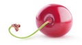 One sweet cherry fruit with stem isolated on white Royalty Free Stock Photo