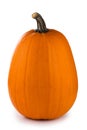 One tall orange pumpkin