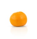 One tangerine is isolated on a white background