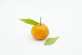 One tangerine with leaves on white background on mirror