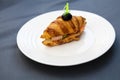 Croissant sandwich with chicken breast and fresh vegetables Royalty Free Stock Photo