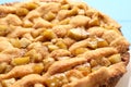 One tasty homemade apple pie, closeup view Royalty Free Stock Photo