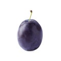 One tasty plum isolated on white. Fresh berry Royalty Free Stock Photo