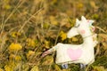 One textile toy unicorn stands on yellow foliage and grass, graze. Close-up. Blurred background. There is a place for text