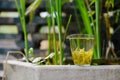 One of the three largest non-alcoholic beverages in the world for Chinese green tea