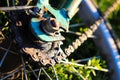 Spider on Old Rusty Bike in Camp