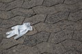 One-time glove carelessly discarded onto paving stones afte