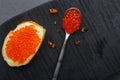 One toast with butter and red caviar near a spoon with caviar on a wooden board on a concrete background. Copy space Royalty Free Stock Photo