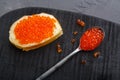 One toast with butter and red caviar next to a spoon with caviar on a wooden board on a concrete background. Royalty Free Stock Photo