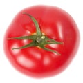 One tomato Royalty Free Stock Photo