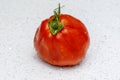 One tomato on a light background Royalty Free Stock Photo