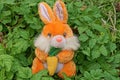 One toy orange plush hare