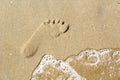 One trace on the brown sand Royalty Free Stock Photo