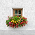 Traditional Austrian window with blooming summer flowers