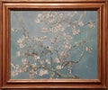 Photo of the famous original painting: `Almond Blossom` by Vincent Van Gogh Royalty Free Stock Photo