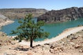 One tree in Firat River Euphrates River and Abandoned Castle Rum Kale