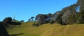 One Tree Hill Panoramic Royalty Free Stock Photo