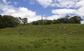 One Tree Hill Park Auckland New Zealand Royalty Free Stock Photo