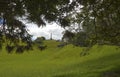 One Tree Hill Park Auckland New Zealand Royalty Free Stock Photo