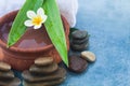 One tropical flower and spa objects and stones