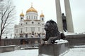 One of the two bronze lions,