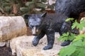 One of two cubs that along with their mother comprise a sculpture titled `Curious`in Beaver Creek, Colorado.