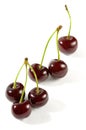 One Two and Three Cherries Royalty Free Stock Photo