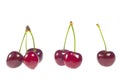 One two three Cherries with stalk Royalty Free Stock Photo
