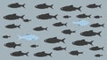 One unique fish swims opposite from identical blacks. Concept of courage, confidence, success, crowd and creativity