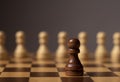 One unique pawn outstanding from many opposits. Concept of individual, different, standout, original Royalty Free Stock Photo