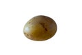 One unpeeled potato with white background