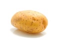 One unpeeled raw potato Royalty Free Stock Photo