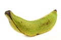 One unripe baking banana (plantain banana)