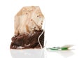 One used tea bag, macro photo high detailed, isolated object on a white background