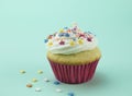 One vanilla cupcake with colour star sprinkles against soft green background Royalty Free Stock Photo