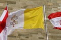 One Vatikan Flag Royalty Free Stock Photo