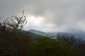 Foggy view from Blue Ridge Parkway in the Smokies Royalty Free Stock Photo