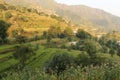 Step by step fields in the Himalayas mountain Royalty Free Stock Photo