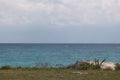 One view to the sea of Tulum, Mexico